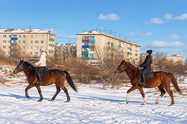 Конная прогулка  в Чите. Подарочные сертификаты Ultra Подарки. Купить оригинальный подарок или подарочный сертификат на Конная прогулка  в Чите. Сервис UltraPodarki.ru 8-800-505-9530. Катание на лошадях, Прогулка на лошади, Прогулка на лошадях для двоих, Конная прогулка , конный клуб, Конный клуб, конная прогулка, конная прогулка в Чите