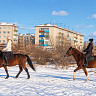 Конная прогулка  в Чите. Подарочные сертификаты Ultra Подарки. Купить оригинальный подарок или подарочный сертификат на Конная прогулка  в Чите. Сервис UltraPodarki.ru 8-800-505-9530. Катание на лошадях, Прогулка на лошади, Прогулка на лошадях для двоих, Конная прогулка , конный клуб, Конный клуб, конная прогулка, конная прогулка в Чите