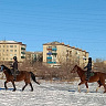 Конная прогулка  в Чите. Подарочные сертификаты Ultra Подарки. Купить оригинальный подарок или подарочный сертификат на Конная прогулка  в Чите. Сервис UltraPodarki.ru 8-800-505-9530. Катание на лошадях, Прогулка на лошади, Прогулка на лошадях для двоих, Конная прогулка , конный клуб, Конный клуб, конная прогулка, конная прогулка в Чите